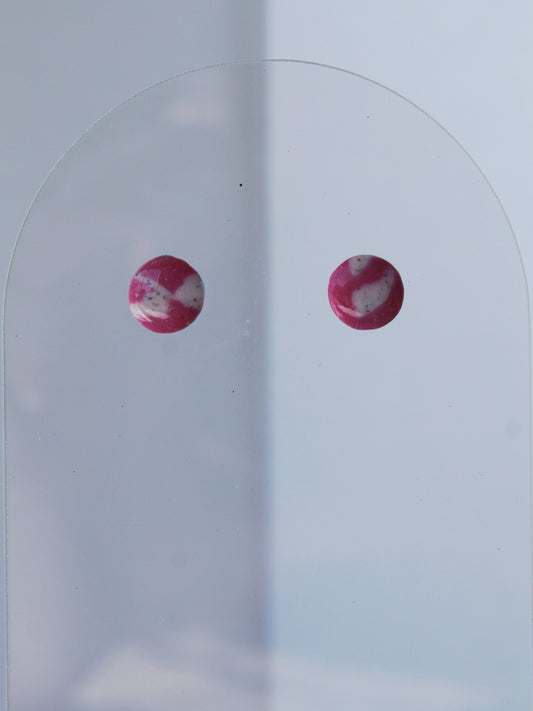 Puces d'Oreilles fruit du dragon